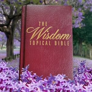The Wisdom Bible